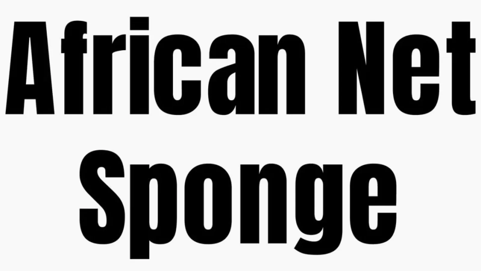 AfricanNetSponge buying advice scene