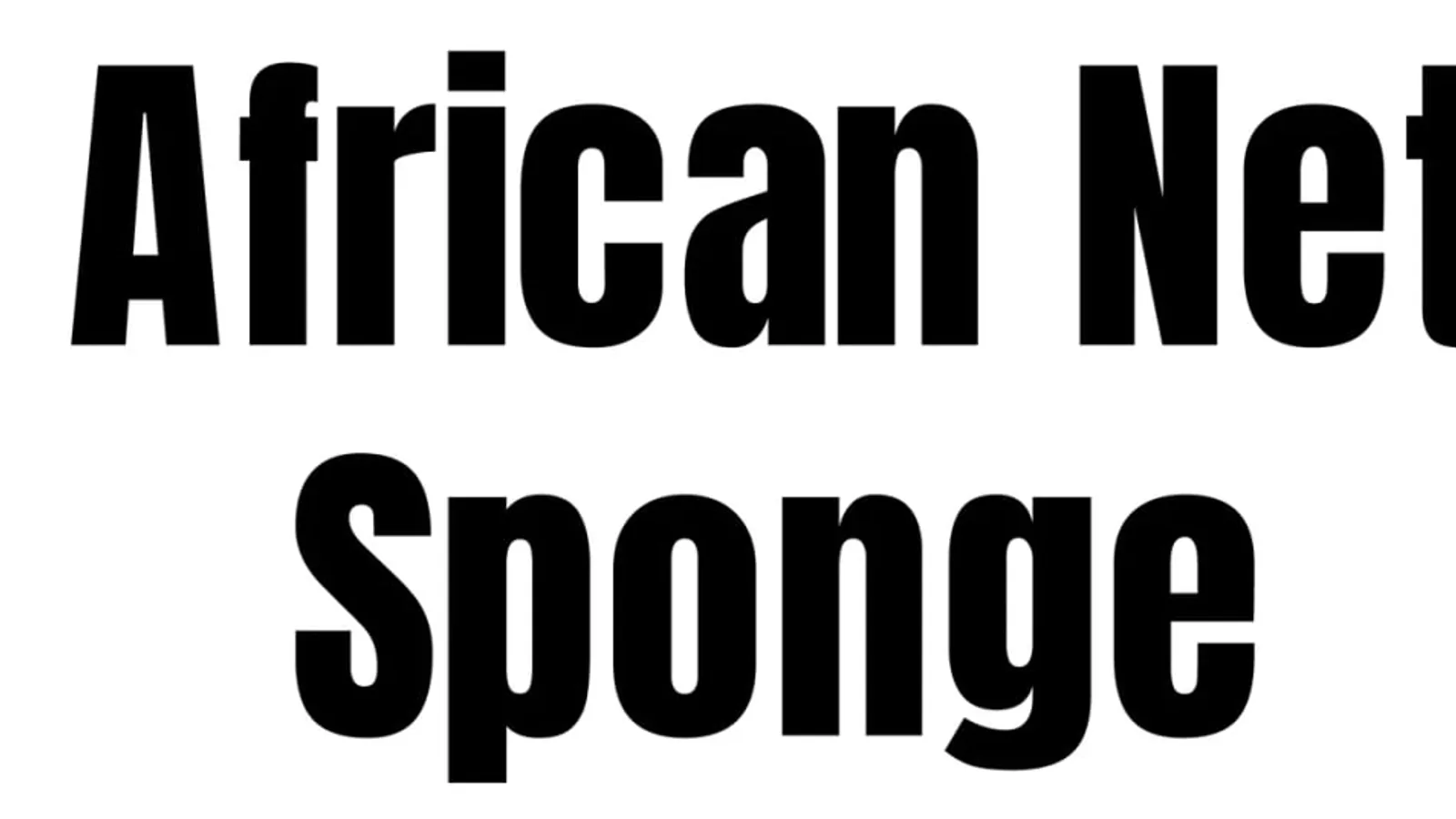 AfricanNetSponge review hero image